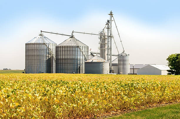 We empower agricultural brands with forward-thinking advertising strategies